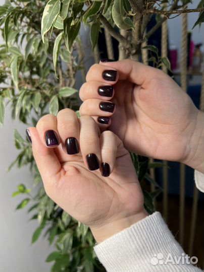 Мастер маникюра и педикюра