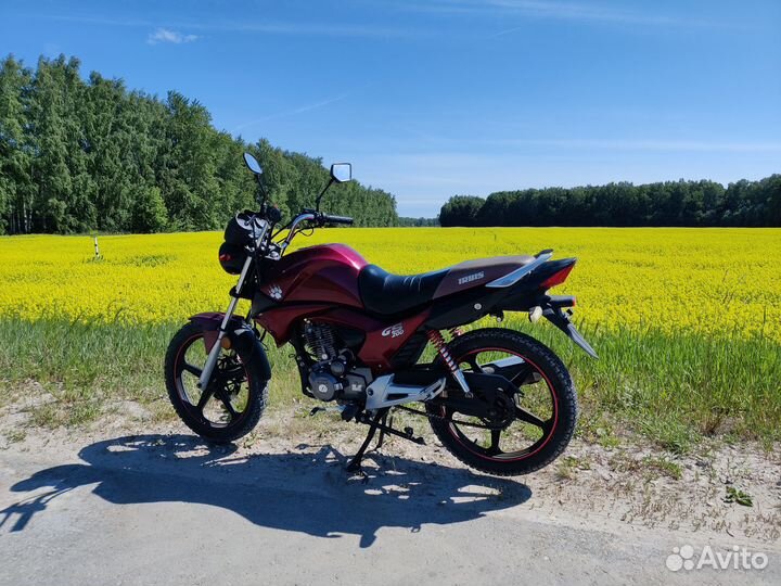 Irbis GS 200