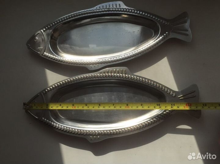 Рыбы селедочницы