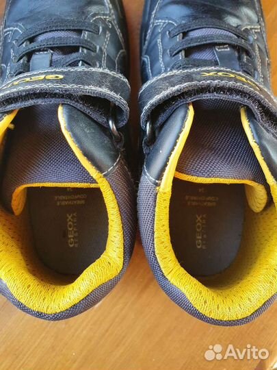 Ботинки демисезонные geox