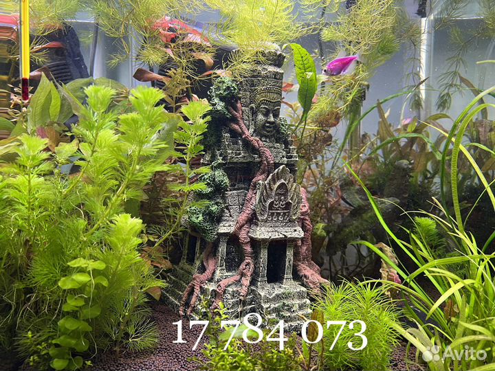 Грот для аквариума Затонувший храм Майя новый