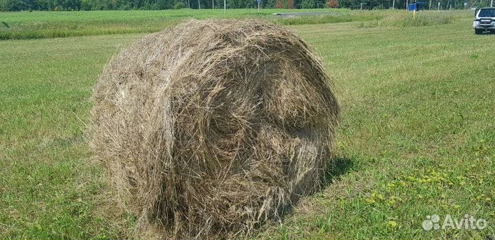 Сено в рулонах