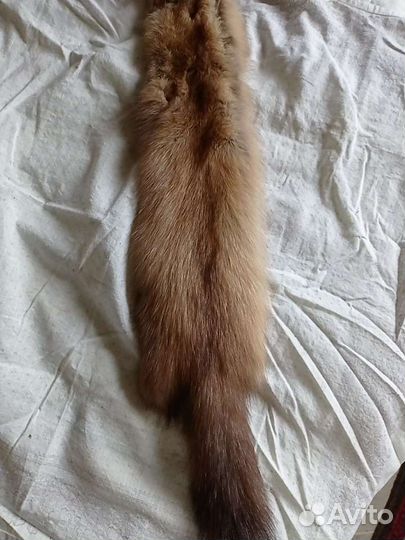 Шкурки соболя