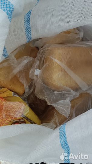 Корм для животных. Хлеб