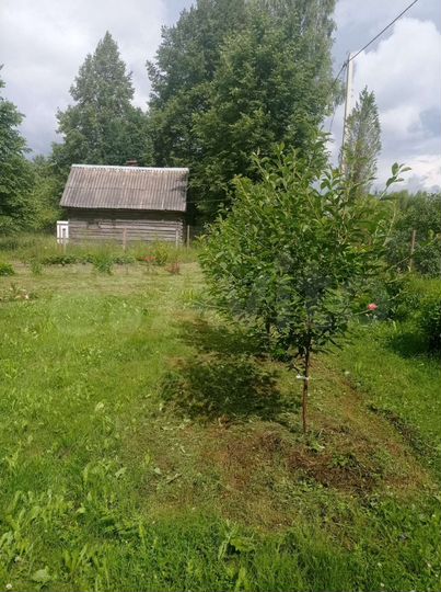 Участок 8 сот. (ИЖС)