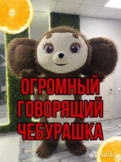 Шуточный стриптиз звезда поздравление аниматор