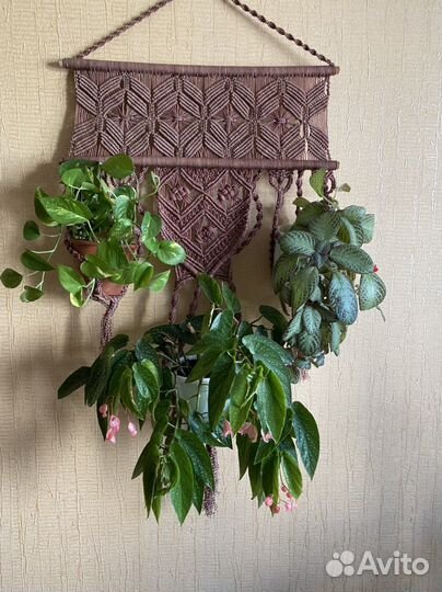 Настенное панно-кашпо/подвес для комнатных растени