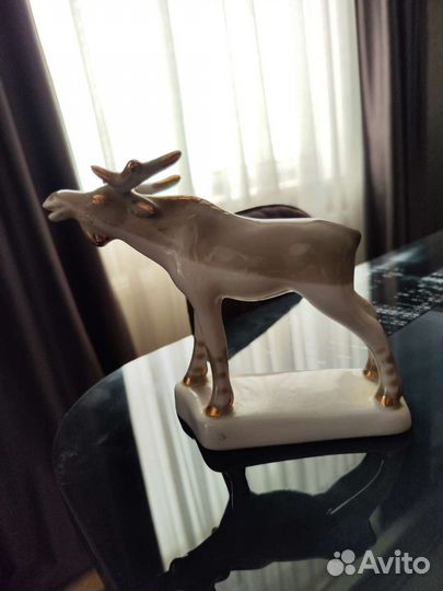 Лось Полонное