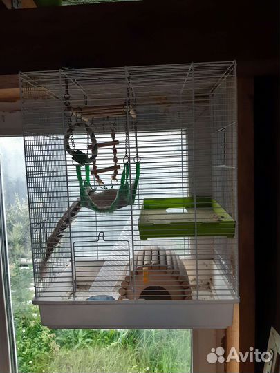 Клетка