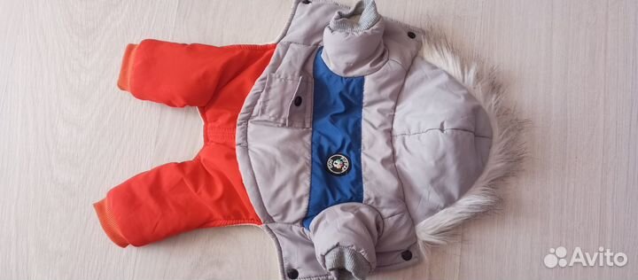 Комбинезон для маленькой собаки