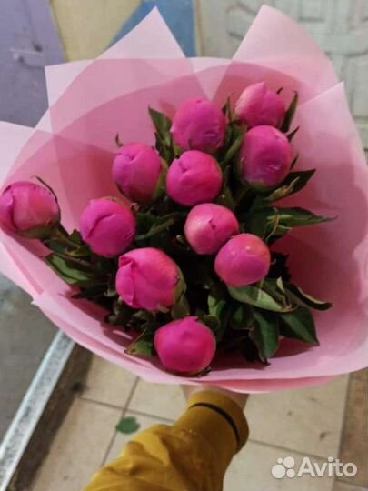 Пионы с доставкой по Москве и области