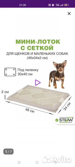 Лоток туалет для собак