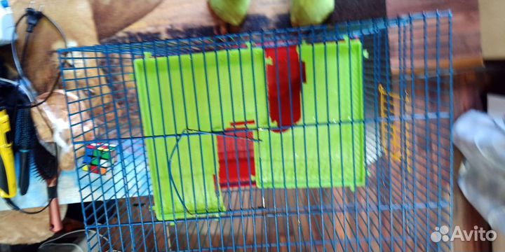 Клетка для грызунов