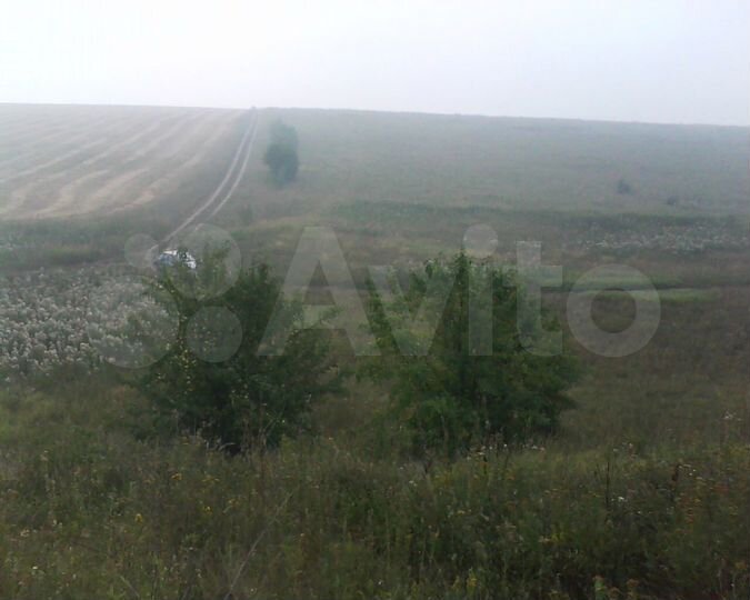 Участок 5,6 га (СНТ, ДНП)