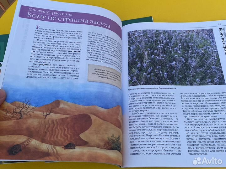 Книги о растениях для детей