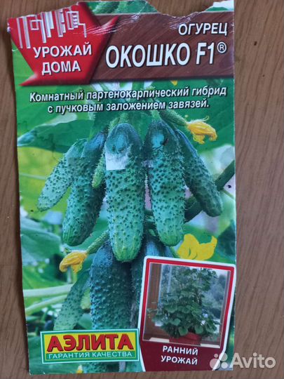 Рассада помидор и огурцов