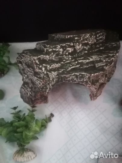 Все для аквариума