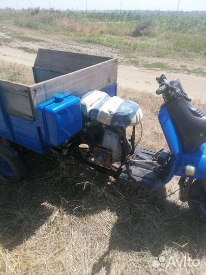 Мотороллер, муравей