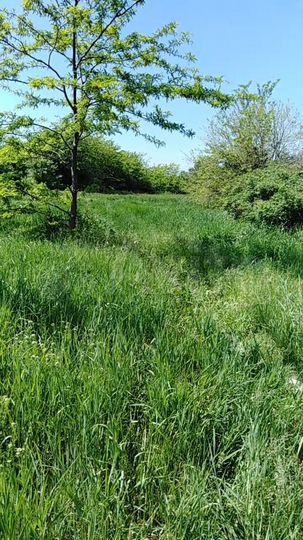 Дача 62 м² на участке 37 сот.