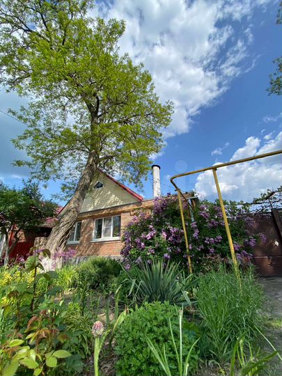 Дом 61,2 м² на участке 18,6 сот.