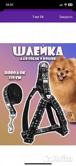 Шлейка с поводком