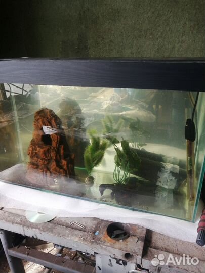 Аквариум 100л
