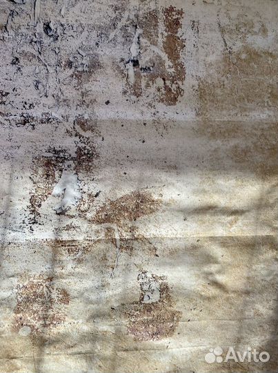 Фон для фото