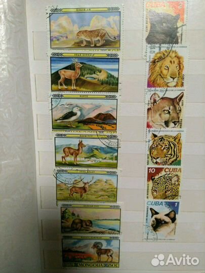 Марки (1) флора и фауна