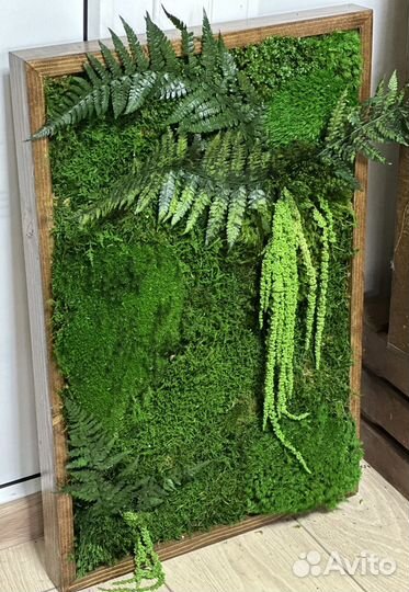 Панно из мха и стабилизированных растений