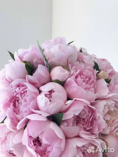 Пионы букет
