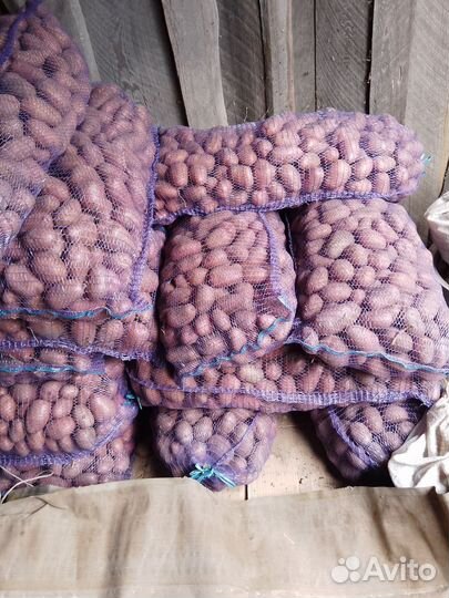 Продам картофель оптом