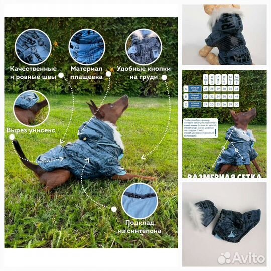 Куртка для собак мелких пород