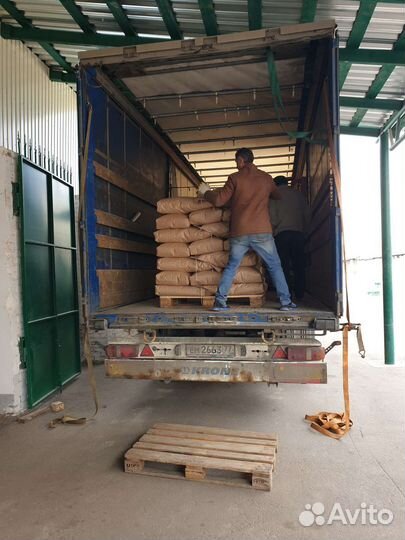 Семена кукурузы Краснодарский 291 амв F1 Гибрид