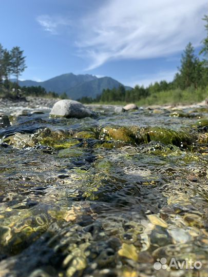 Отель Корона Аршана