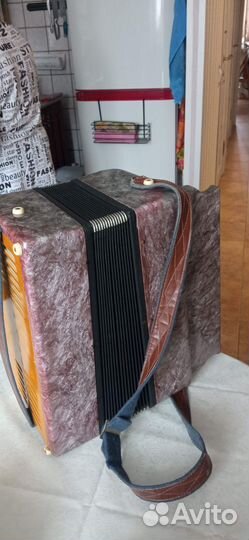 Казань гармонь