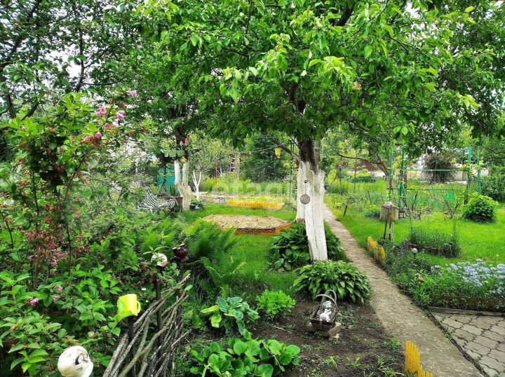 Дача 50,3 м² на участке 6 сот.