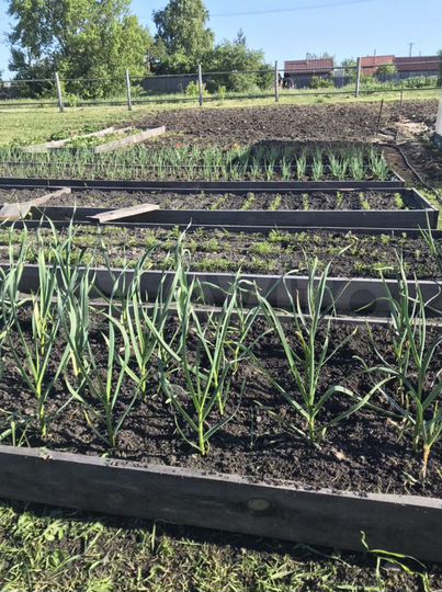 Дача 20 м² на участке 12 сот.