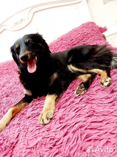 Марго в заботливые ручки