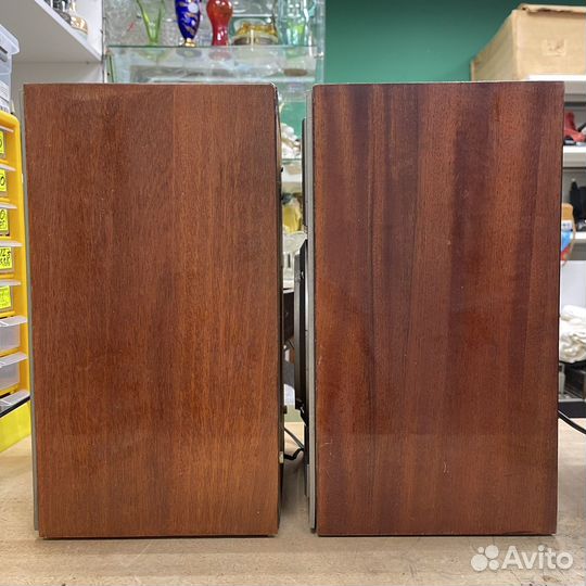 Колонки Акустическая система 6ас 224 двухполосная