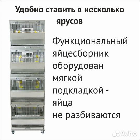 Клетка для кур-несушек 7 голов