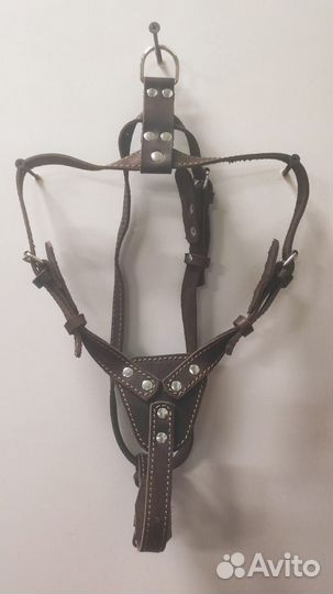 Ошейники, поводки, шлейки