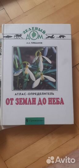 А.А.Плешаков - 