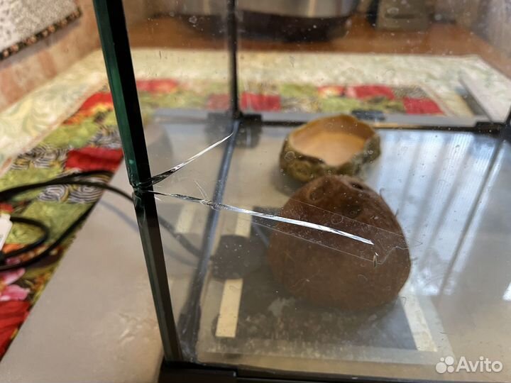 Террариум для змеи бу, 30х30х30