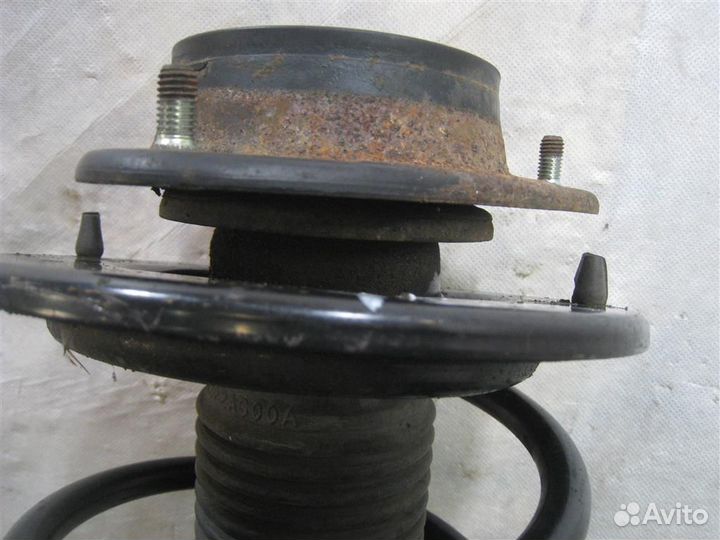 Стойка амортизатора передняя правая Subaru Legacy