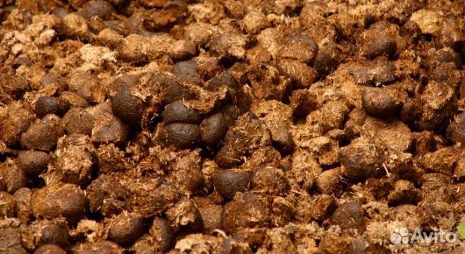 Конский навоз для дома и дачи