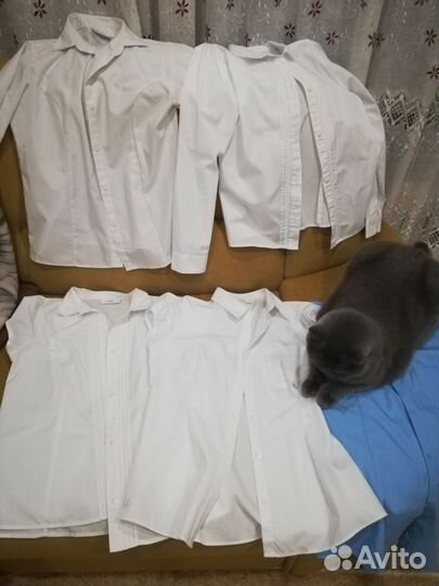 Школьные блузки