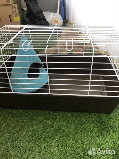 Клетка для грызунов большая