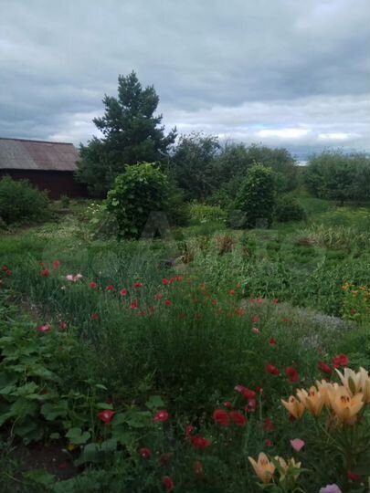 Дом 40 м² на участке 40 сот.