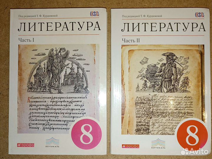 Литература 8 класс Курдюмовой