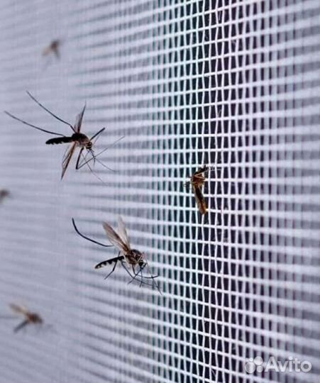 Сетка москитная